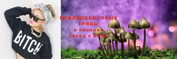 мескалин Няндома