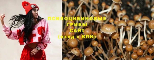 эйфоретик Нягань